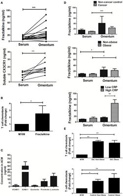 Identifying a Novel Role for Fractalkine (CX3CL1) in Memory CD8+ T Cell Accumulation in the Omentum of Obesity-Associated Cancer Patients